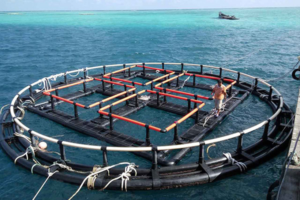 深海奇跡、水下牧場：探索深海養(yǎng)魚網(wǎng)箱在水產(chǎn)養(yǎng)殖中的新可能